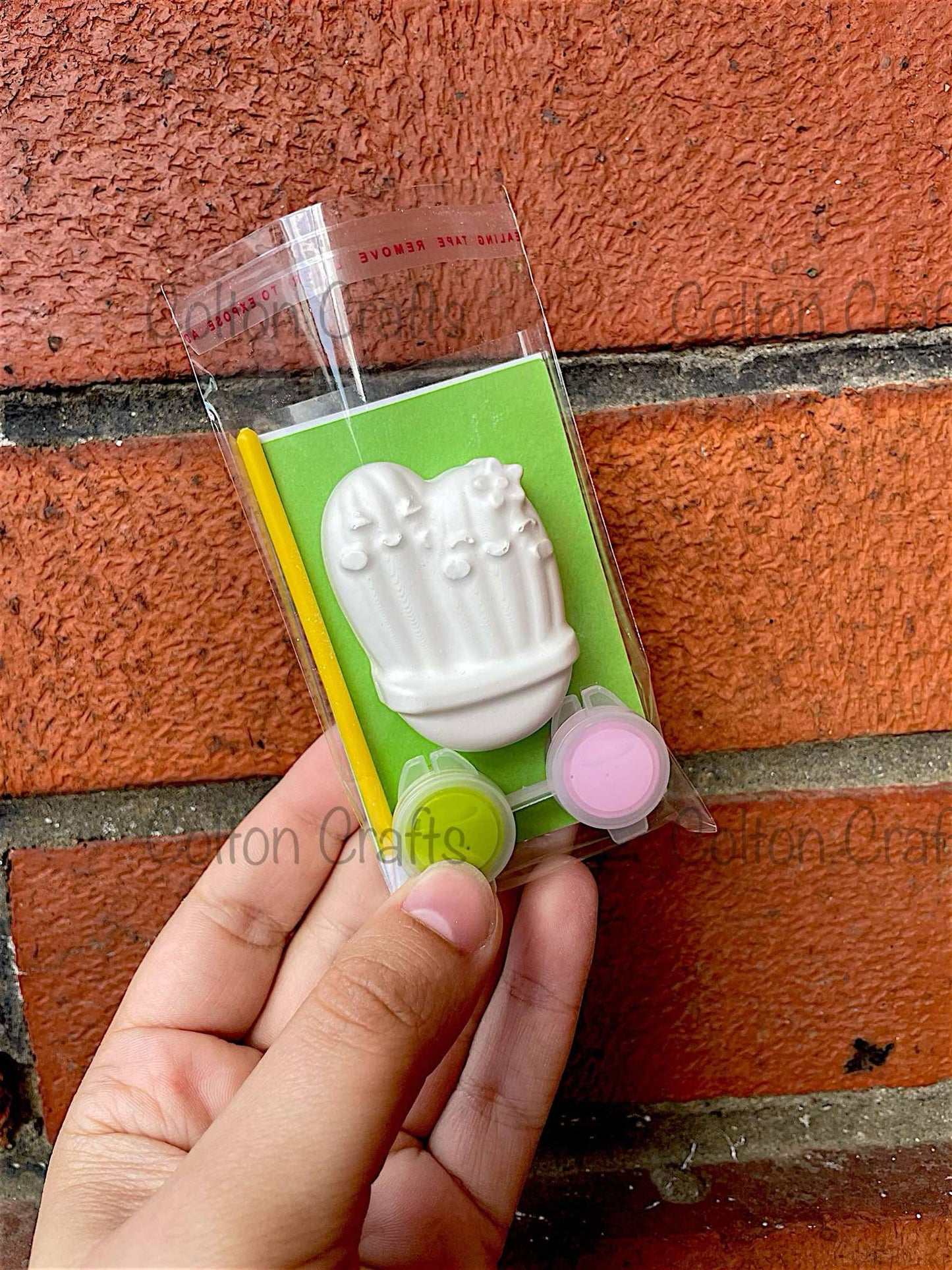 Smiling Cactus Party Bag with 2 paints each