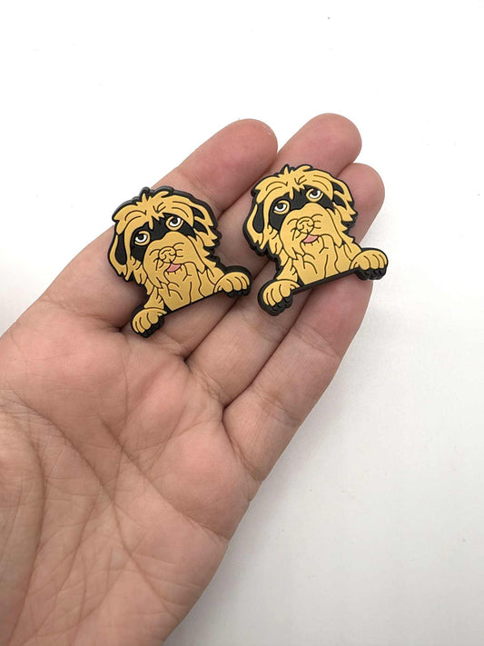 Wiredhair Pointer Dog Shoe Charm