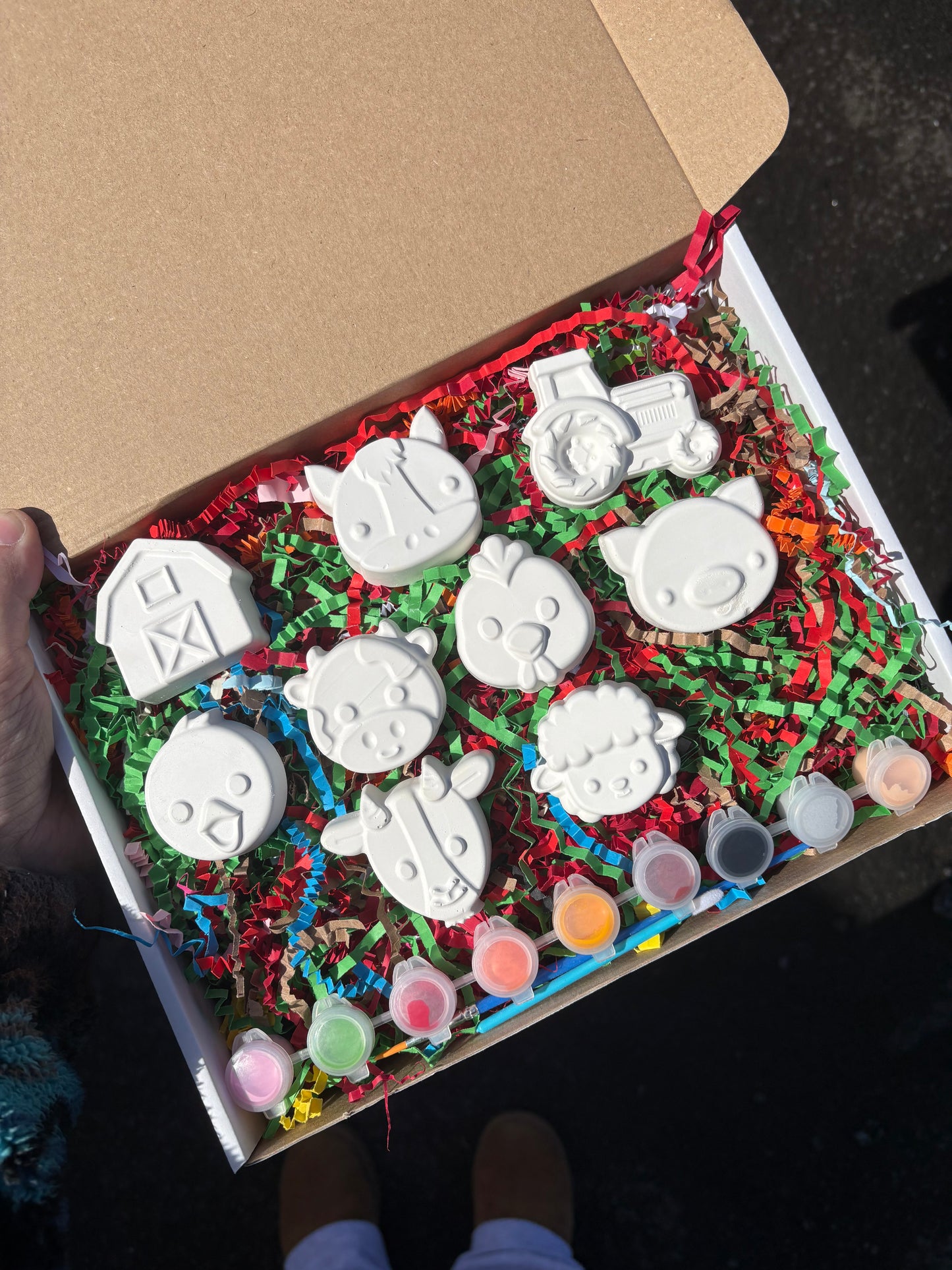 Small Farm Box Set with 9 shapes, 9 paints and brush. Magnet Option available