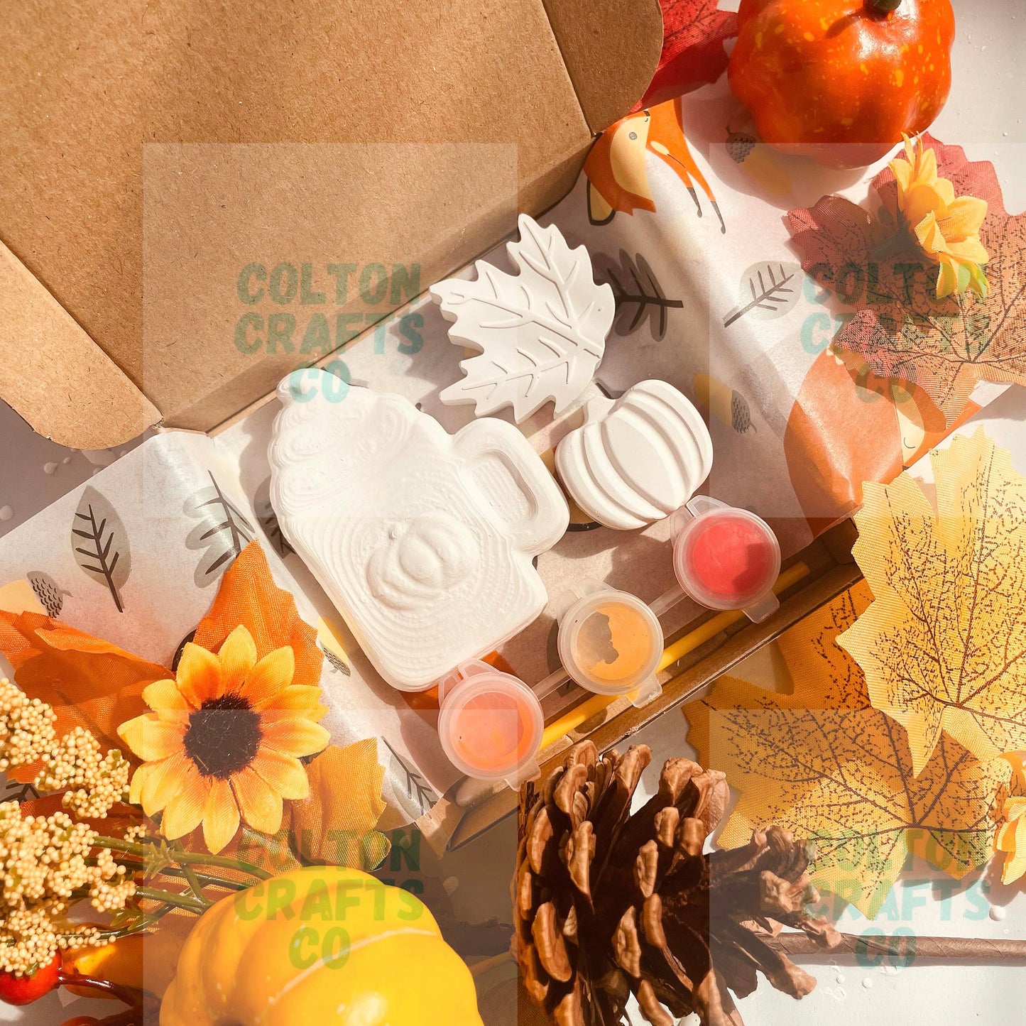 Pumpkin Latte Plaster Paint Boxed Kit with 3 paints