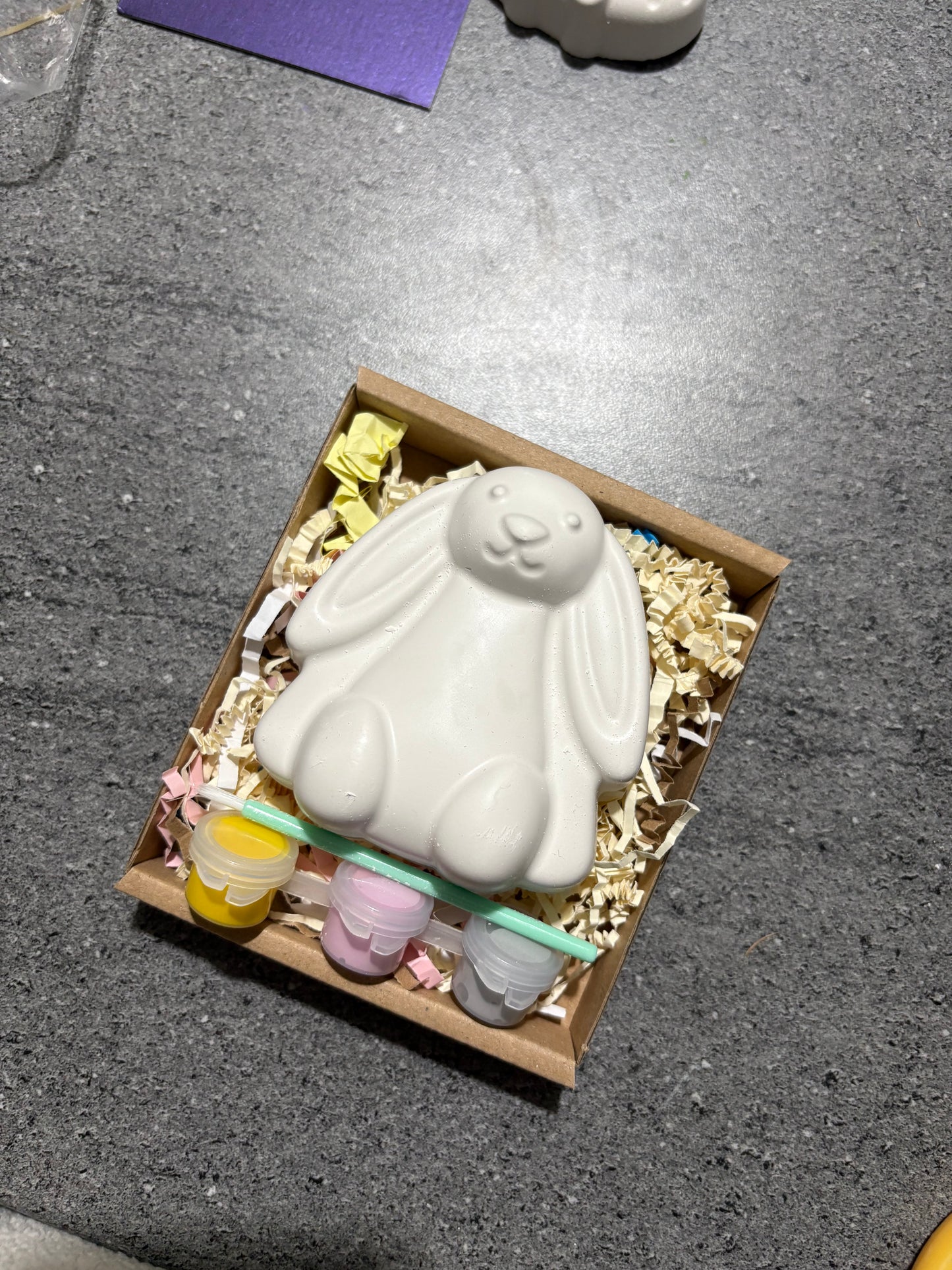 Bunny Rabbit Plaster Shape Box Kit with 3 paints & Brush