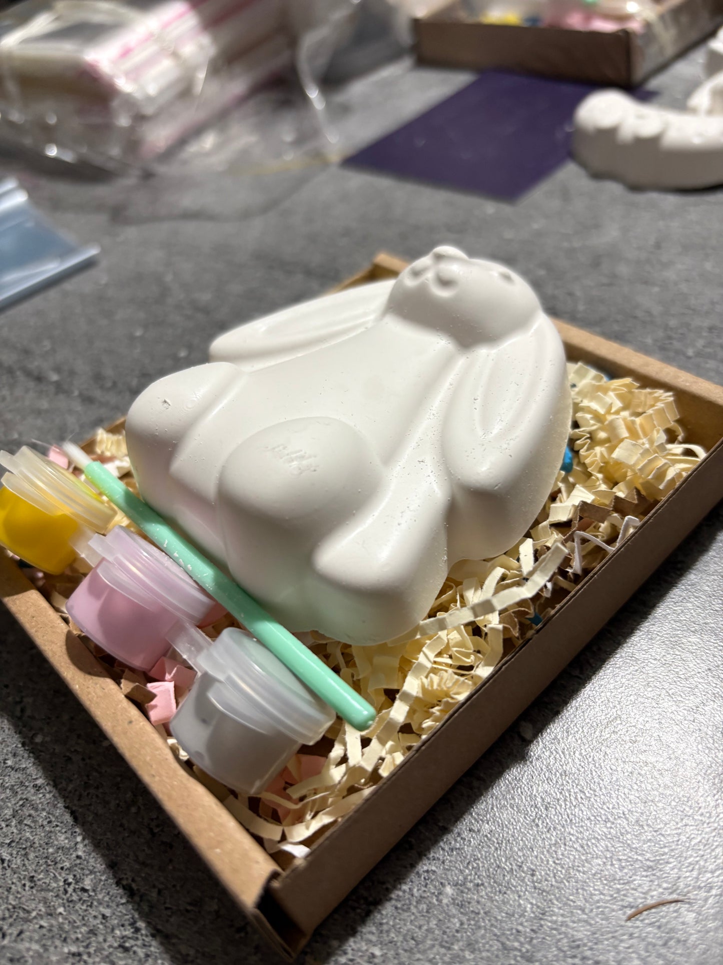 Bunny Rabbit Plaster Shape Box Kit with 3 paints & Brush