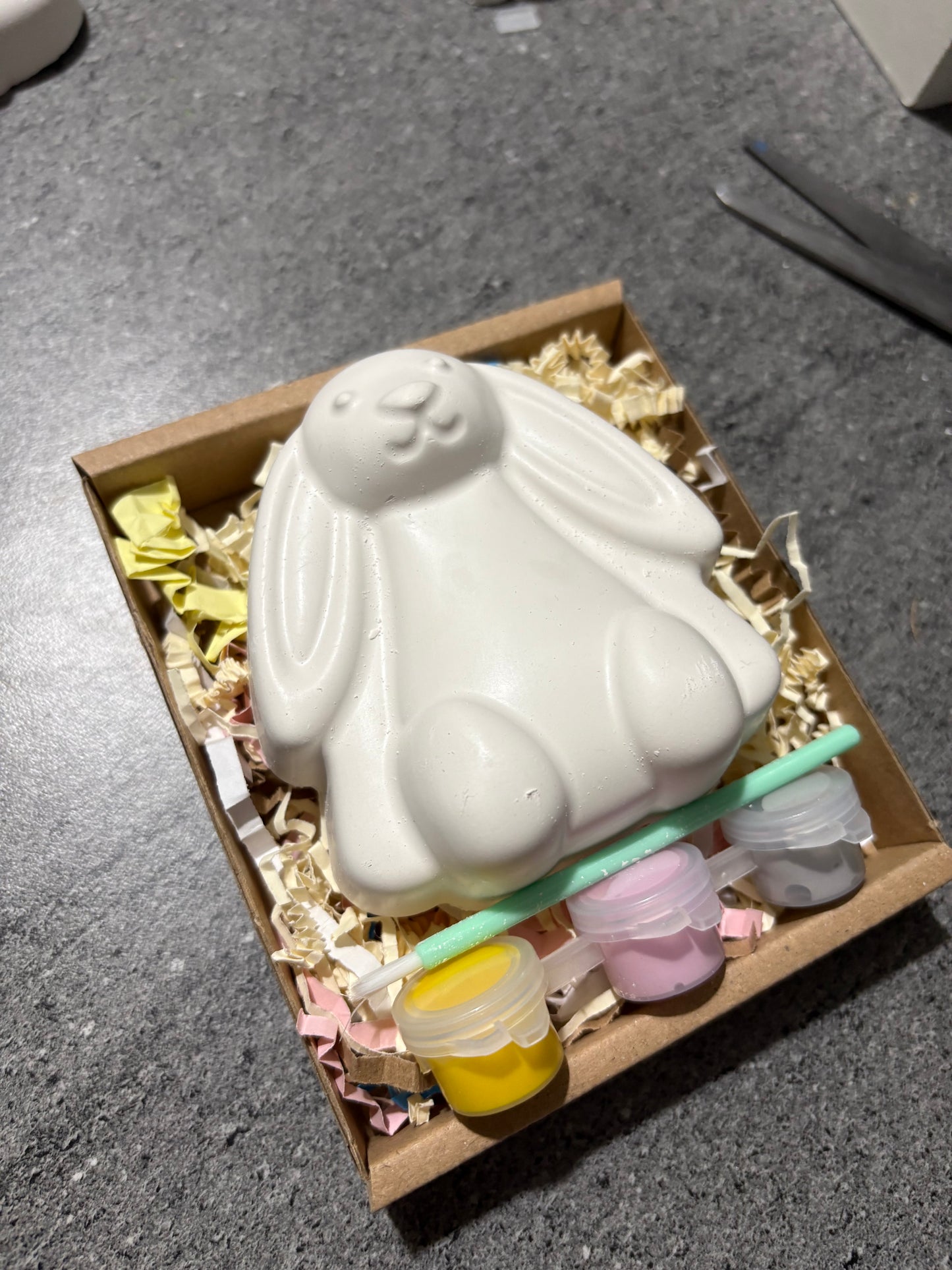 Bunny Rabbit Plaster Shape Box Kit with 3 paints & Brush