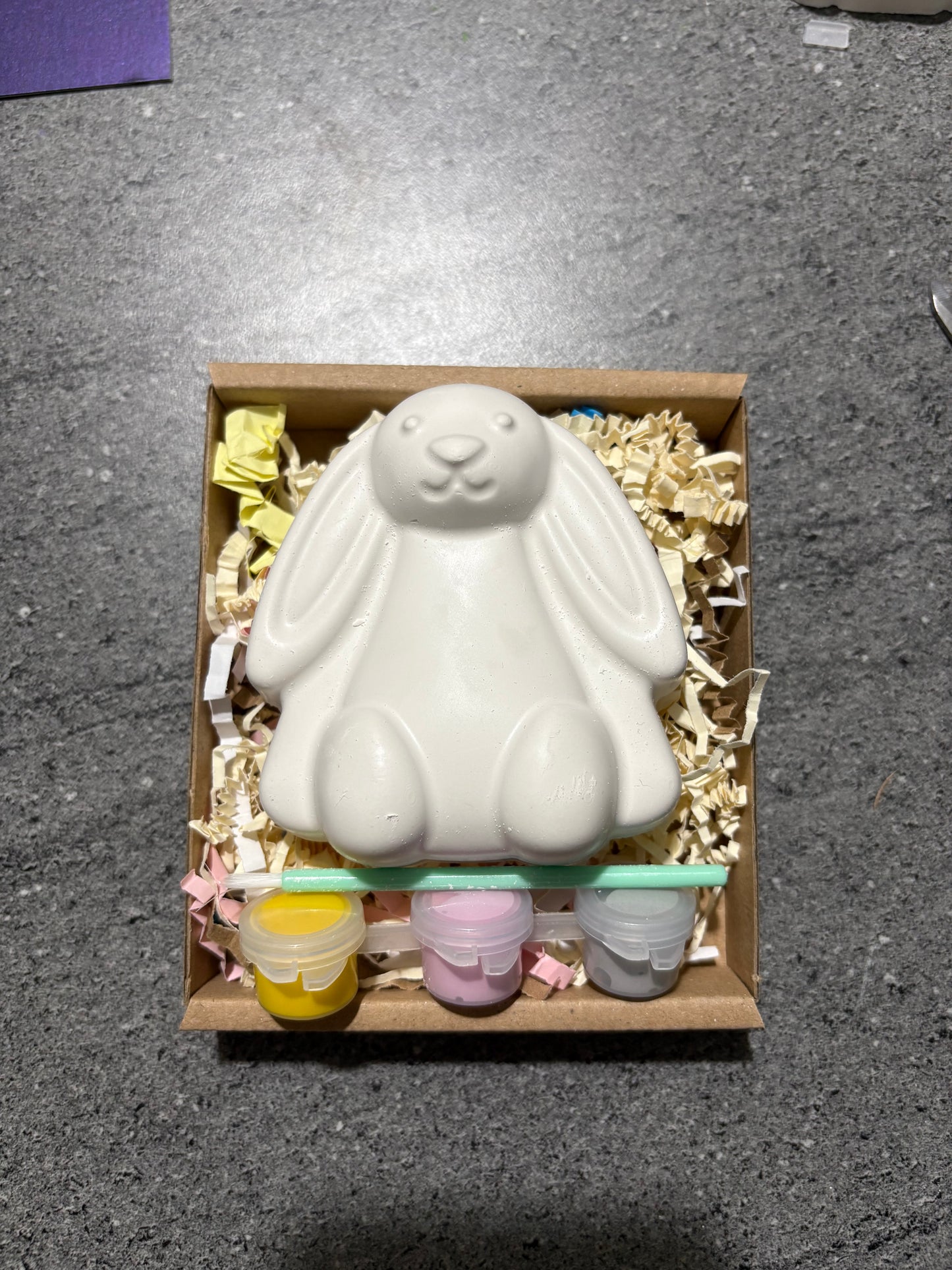 Bunny Rabbit Plaster Shape Box Kit with 3 paints & Brush