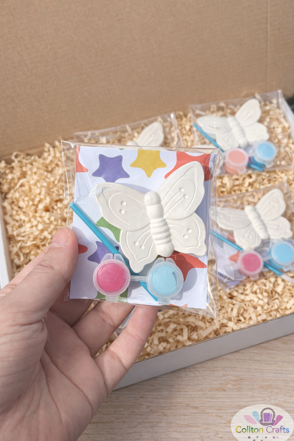Medium Sized Insect Themed Party Bags with 2 or 3 paints each