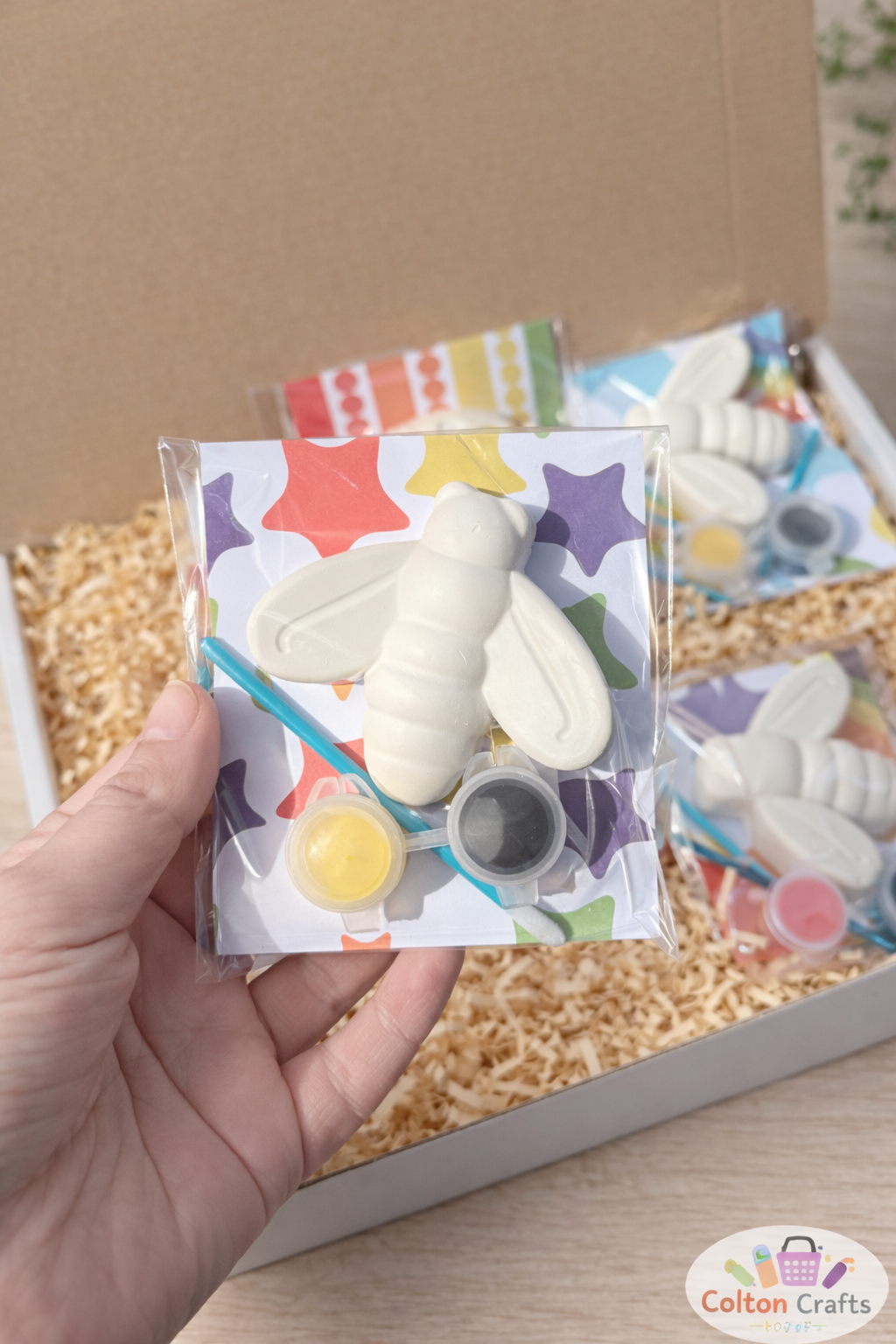 Medium Sized Insect Themed Party Bags with 2 or 3 paints each