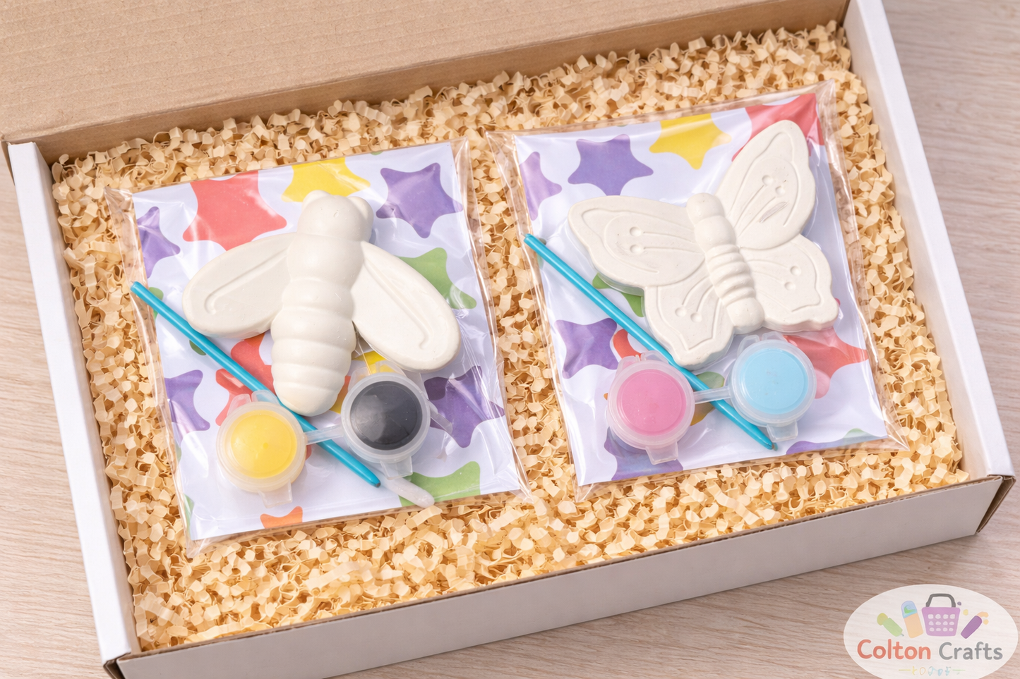 Medium Sized Insect Themed Party Bags with 2 or 3 paints each