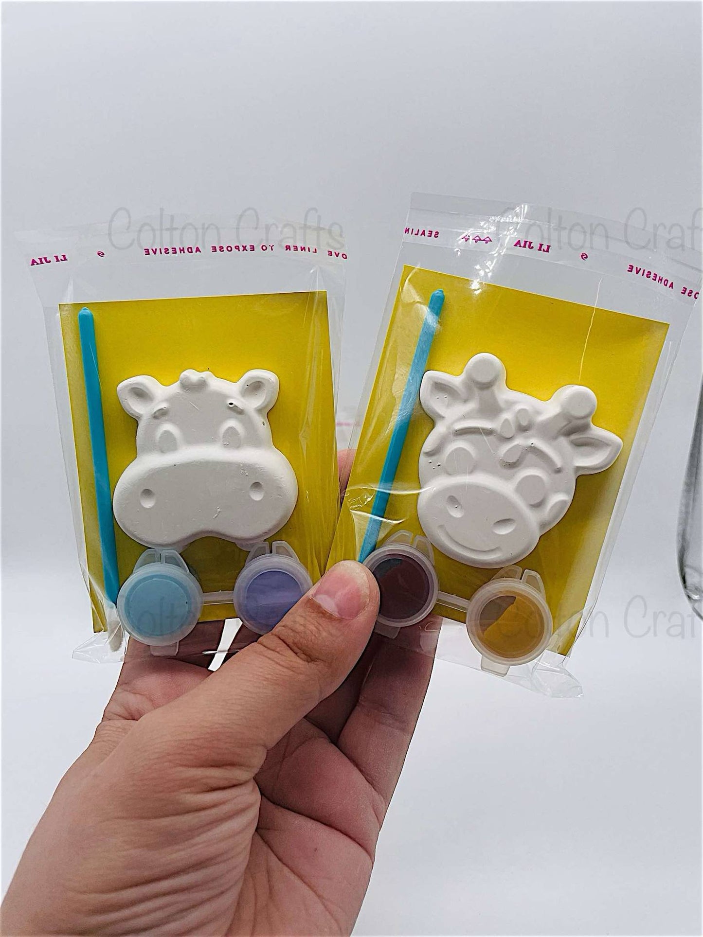 Mixed Jungle Safari Animal Faces Party Bags with 2 paints each