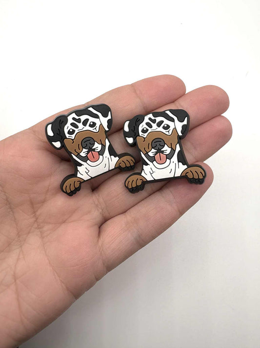 Catahoula Dog Shoe Charm