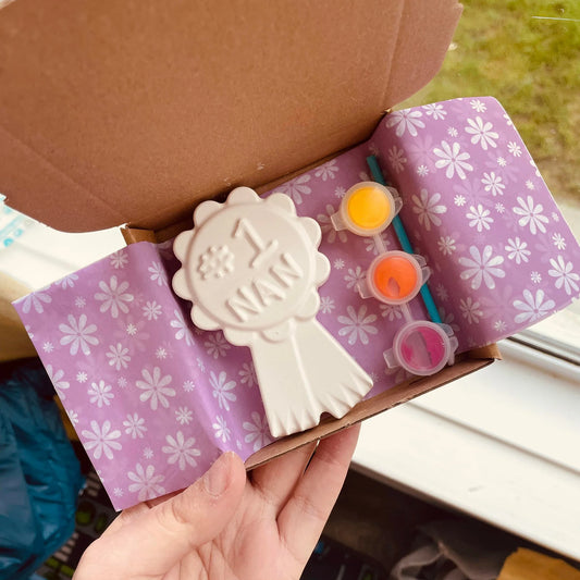 Number One Nan Badge Plaster Paint Kit Craft Kit with 3 paints