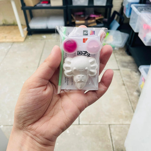 Axolotl Party Bag Size with 2 paints - Salamander - Animal - Party Favours